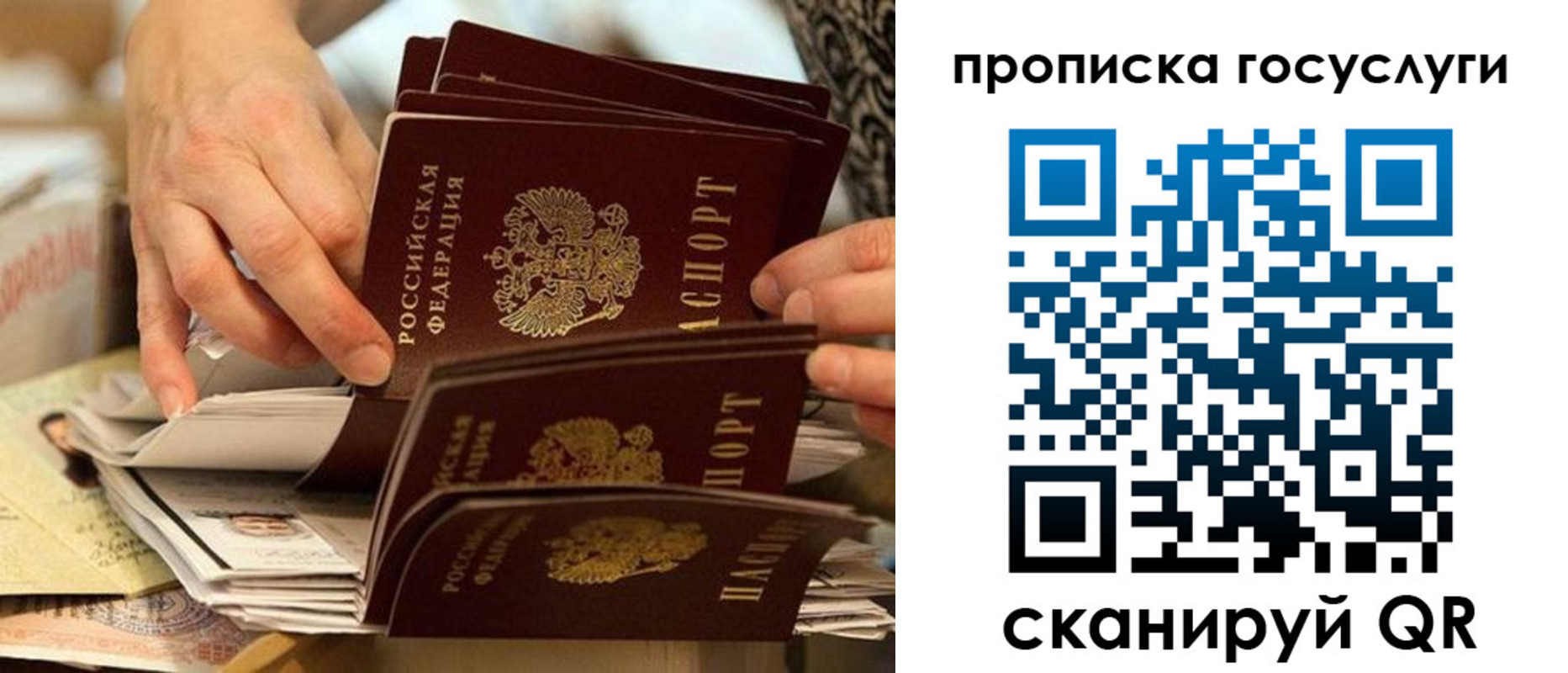 пропишу в квартире в Брянске