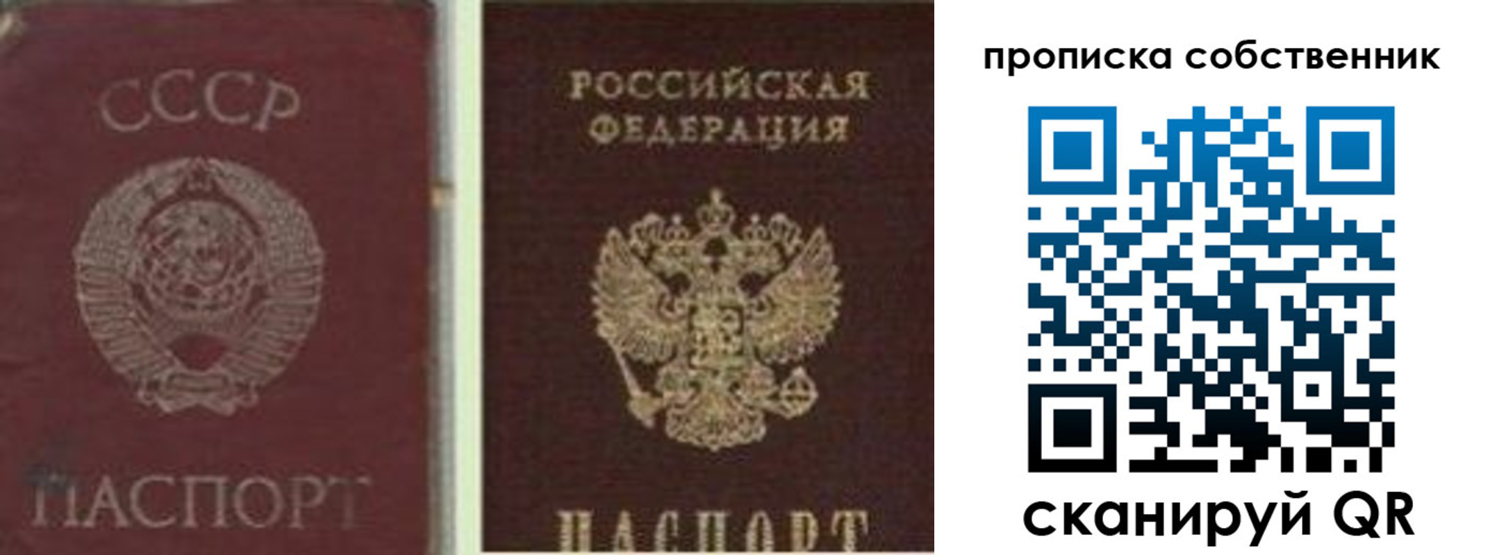 прописка 2025 в Брянске